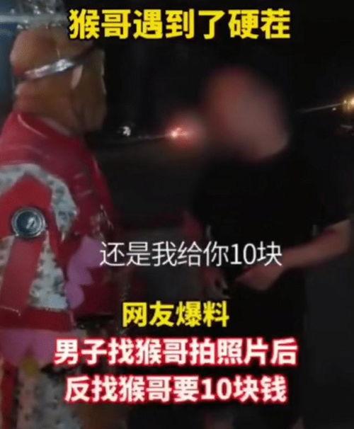 山东猴哥爆料视频最新版,揭秘事件背后惊人真相！  第2张
