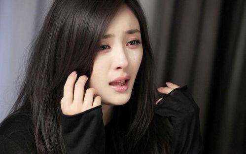 今日娱乐爆料白鹿事件,娱乐圈最新悬疑风波揭秘  第2张