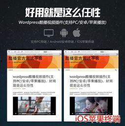 最酷的爆料视频下载网页,下载网页背后的秘密大公开  第2张